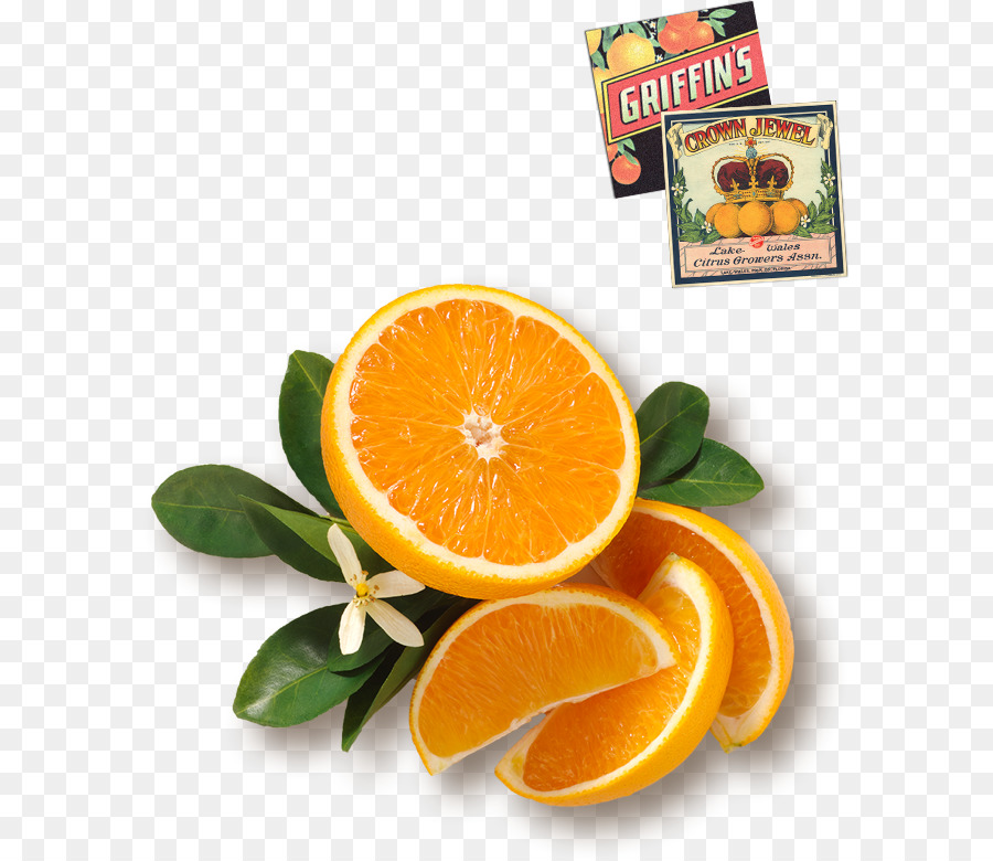 Arancia insalata di Frutta succo d'Arancia - arancio pompelmo