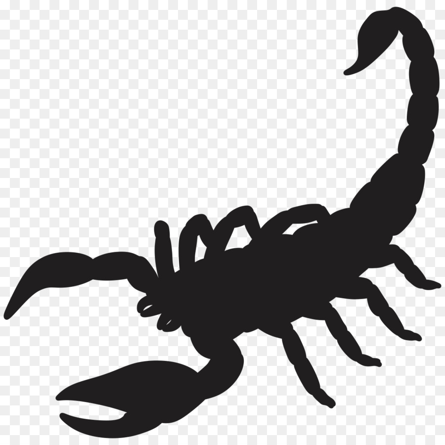 Scorpion Silhouette Disegno Scorpione Scaricare Png Disegno Png Trasparente Scorpione Png Scaricare