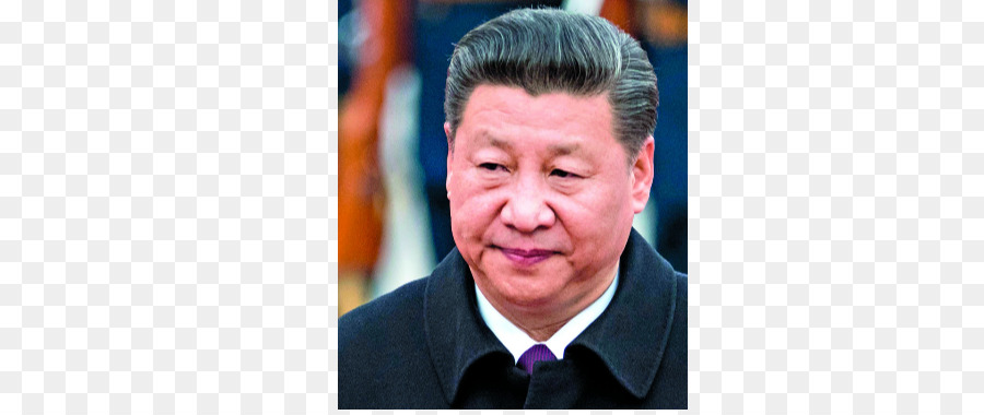 Li Keqiang Premier della Repubblica popolare di Cina, Politico, Presidente della Repubblica popolare di Cina - Xi Jinping