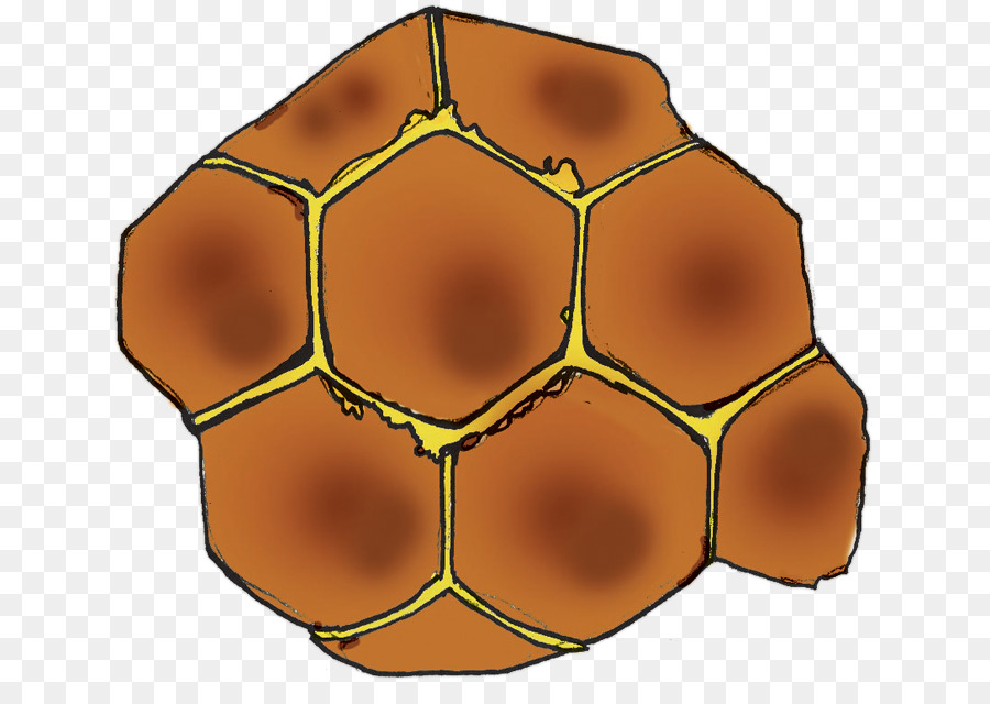 Symmetrie-Linie Ball-Muster - Linie