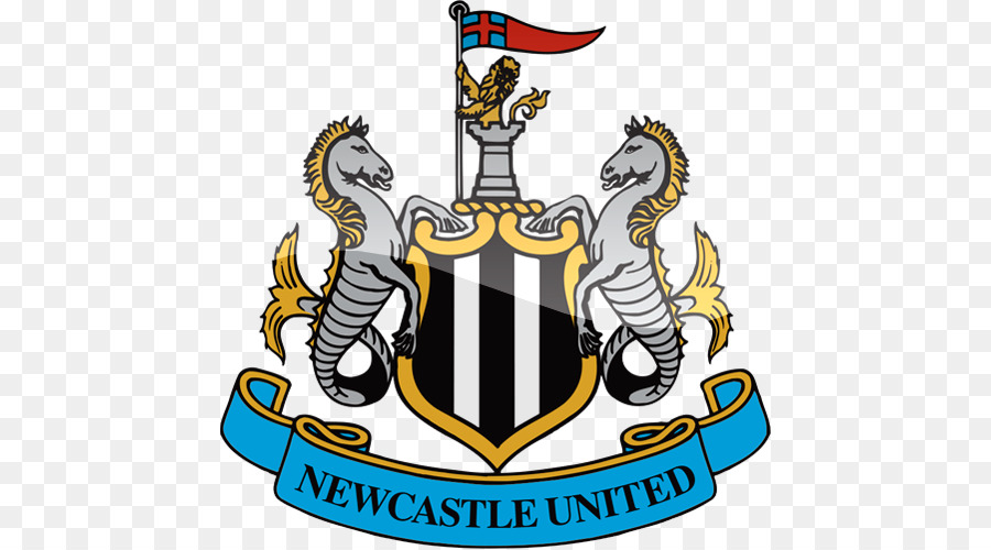 Newcastle United F. C., Newcastle-upon-Tyne in Premier League, FA Cup Brighton & Hove Albion F. C. - premier League