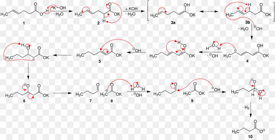 Varrentrapp reazione reazione Chimica Organica reazione chimica Organica - e1cbelimination reazione