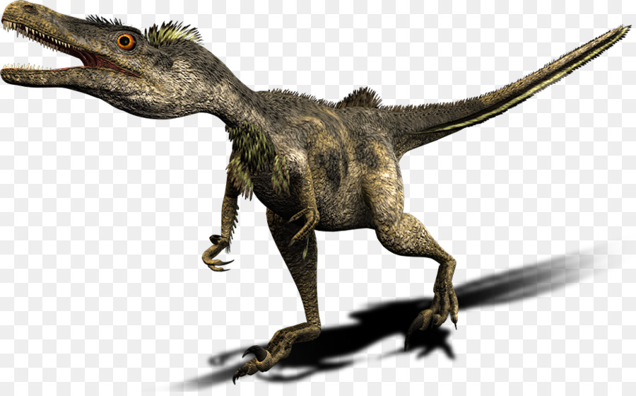 Tyrannosaurus Velociraptor Deinonychus Wesendlich Spinosaurus Carnotaurus - Dinosaurier