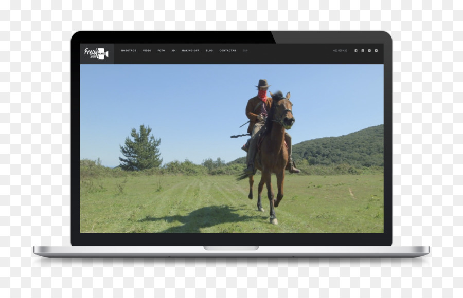 Mataró Horse Advertising, Video, Graphic design - Pferd