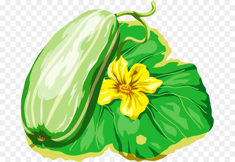 Kürbis-Melone (Cucumis Cucurbita - Sommersaison