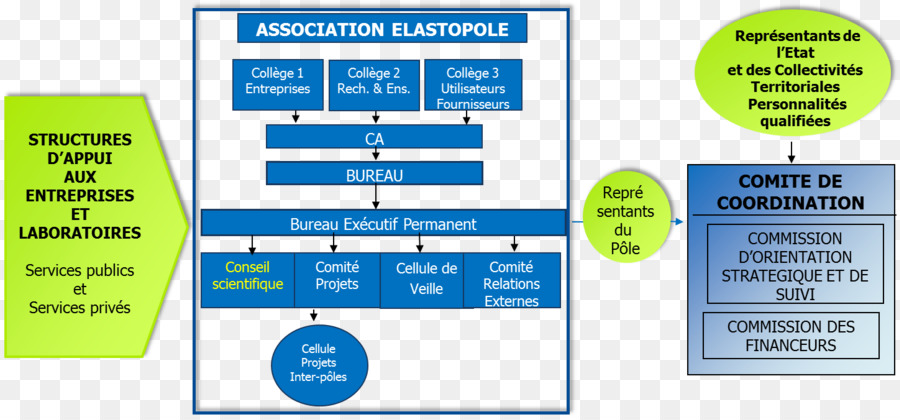 Tổ chức Hiệp hội Elastopole Công quản trị kinh doanh cụm ở Pháp Giám đốc chi Nhánh - fxe9dxe9ration quốc tế ngành công nghiệp ô tô