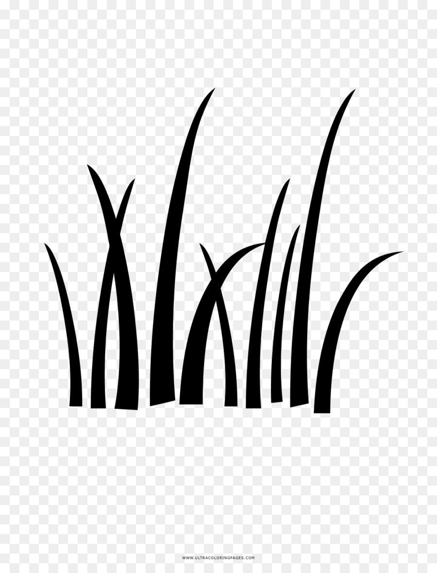grass drawing black and white