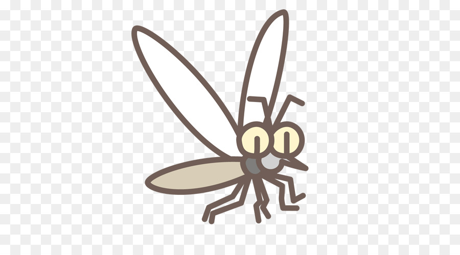 Mücke Filarioidea Filariose Dengue Würmer - Mücke