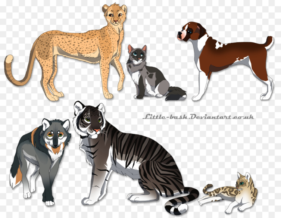 Gatto di razza Whippet razza di Cane Tigre Mammifero - gatto