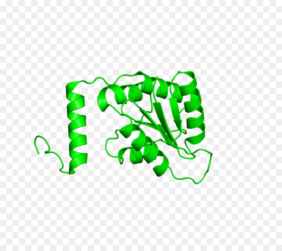 Leaf Logo Clip art - Blatt