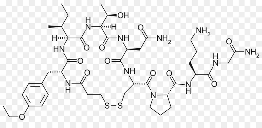 Vasopressin Atosiban Hormone Thuốc chống bài niệu - oxytocin