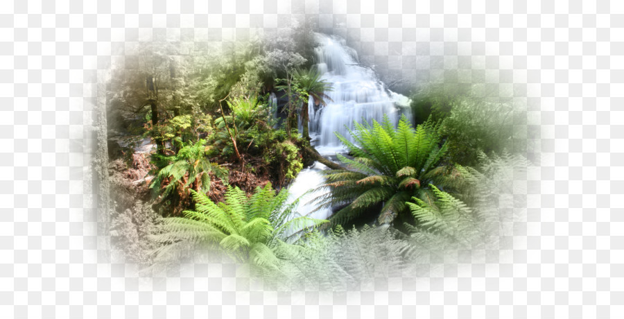 Flora Die Vegetation Triplet Falls Wasser Desktop Wallpaper - Wasser