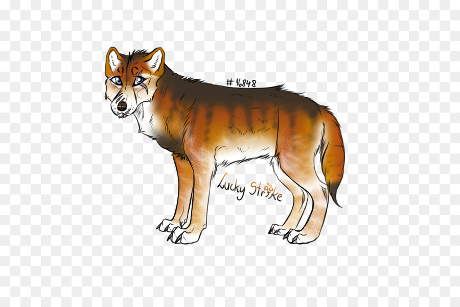 Dingo Red fox Dhole Cane lupo Rosso - cane
