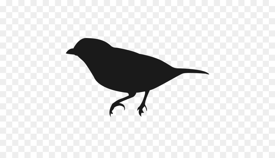 American corvo Uccello Silhouette del Gufo - uccello