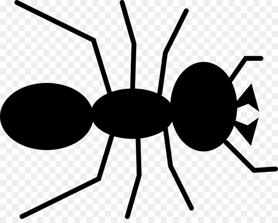 Queen ant Clip art - Antenne