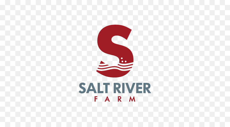 Logo Visual design-Marke Krankenversicherung Art Director - Das Salt River Projekt