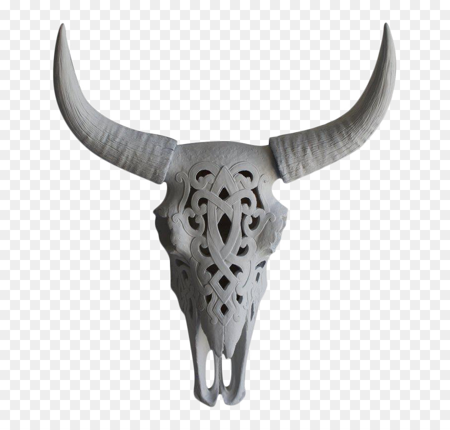 Texas Longhorn Bison Cranio Di Toro - Bisonte