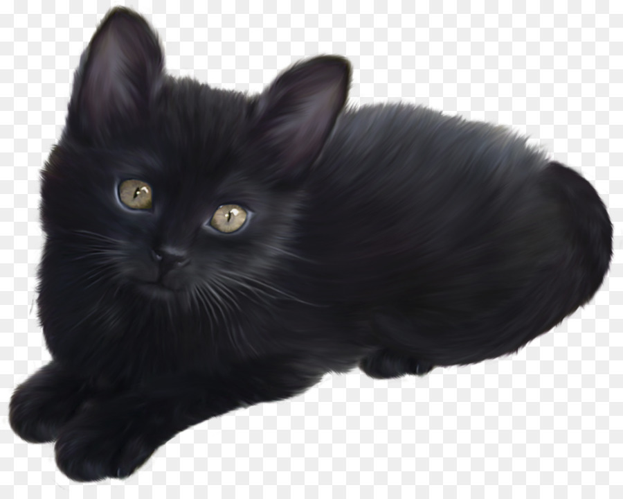 Kätzchen, Himalaya-Katze, Siamese cat Clip art - Kätzchen