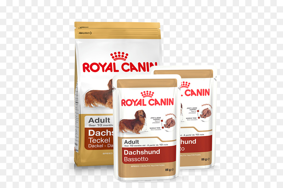 Cocker Spaniel Inglese Di Labrador Retriever Gatto, Cibo Per Cani Royal Canin - gatto