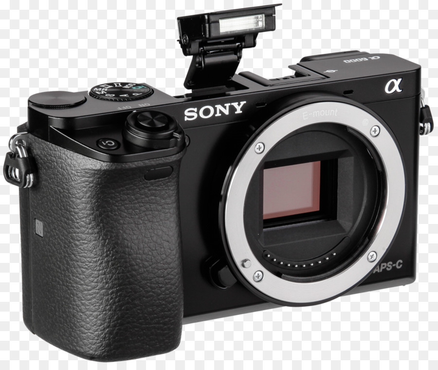 Digitale SLR, Spiegellose Wechselobjektiv Kamera Kamera Objektiv 索尼 - Kamera Objektiv