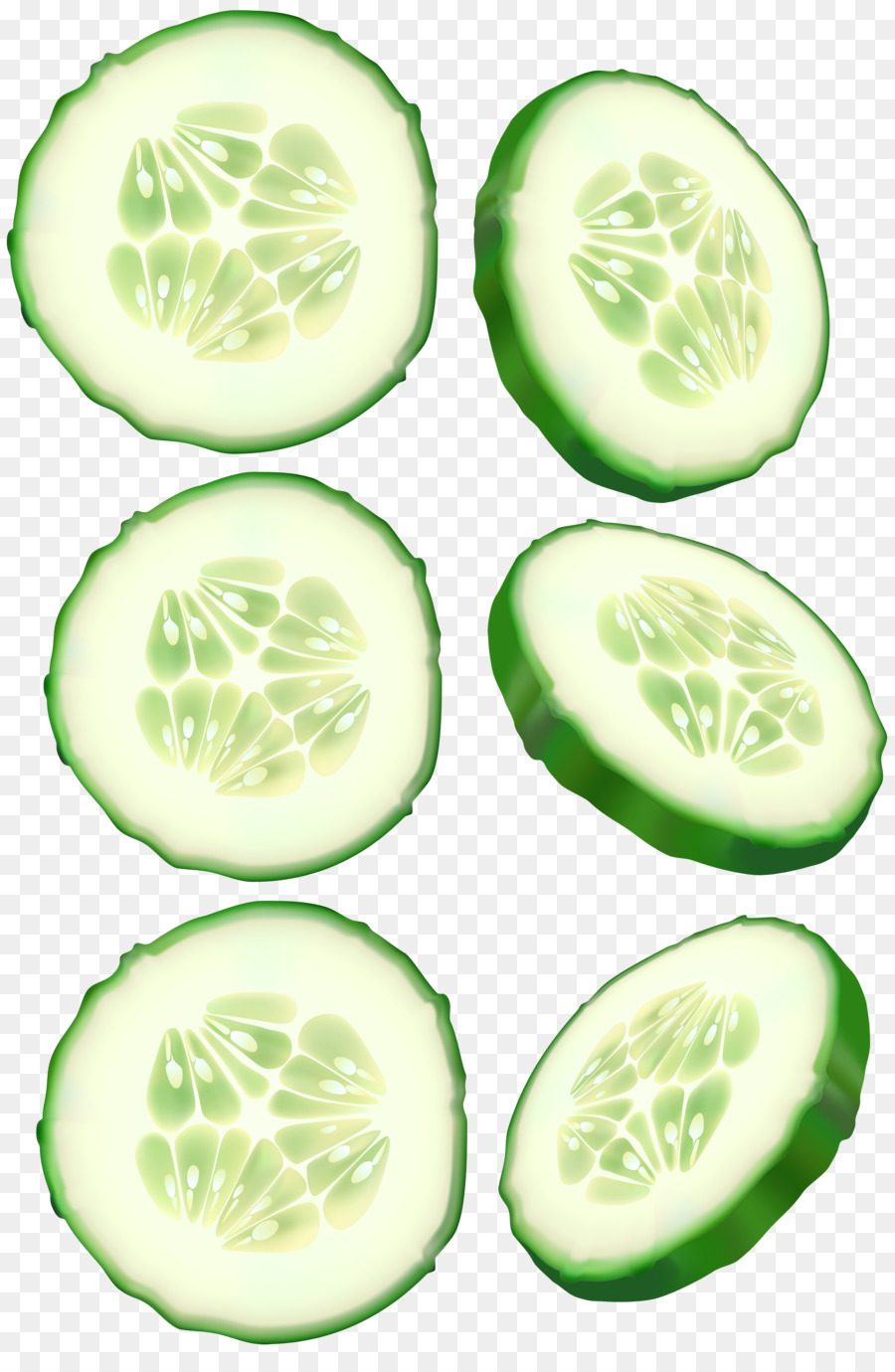 Vegetable Cartoon png download - 3958*6000 - Free Transparent Cucumber png  Download. - CleanPNG / KissPNG