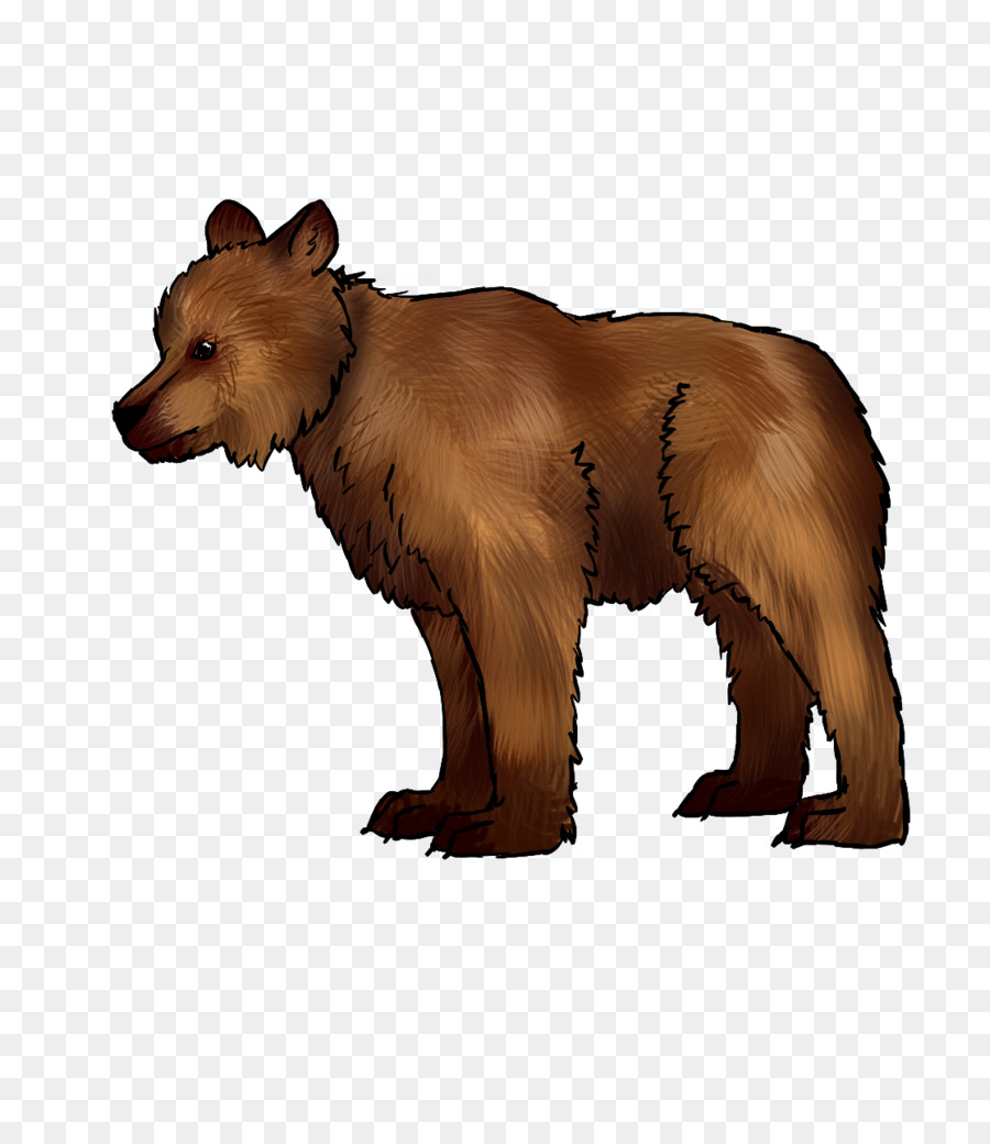 Grizzly bear Dog tempo di posa della Pellicola di lunghezza Focale - cane