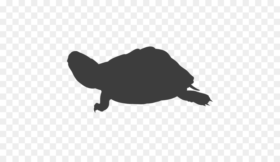 Tartaruga di mare Silhouette Tartaruga tartarughe Scatola - silhouette in australia