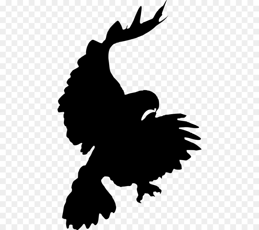 Chim đuôi Đỏ hawk Bóng Clip nghệ thuật - chim bay véc tơ miễn phí tải
