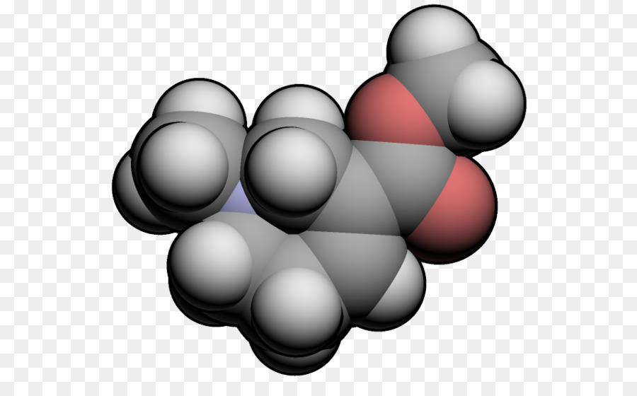 Arecoline Alkaloid Chemie Arecaidine Areca Nuss - andere