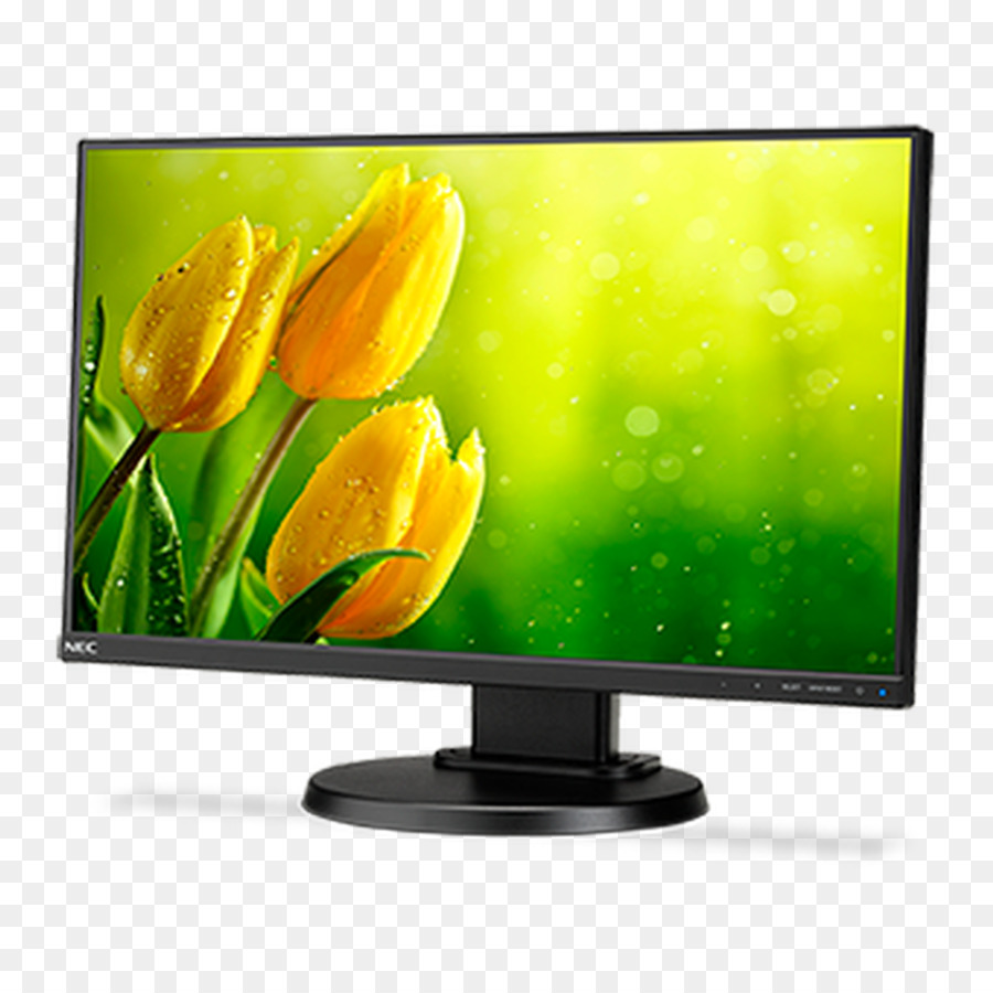 Computer Monitor a LED-backlit LCD IPS del pannello a cristalli Liquidi display NEC MultiSync E221N da 21,5