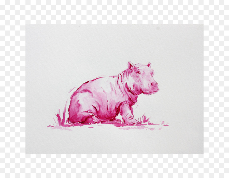 Canidae Leben Hund Pink M Zeichnung - Schwein