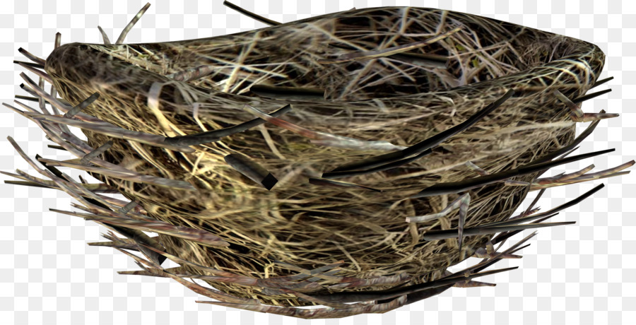 Vogel nest Turm - Nest