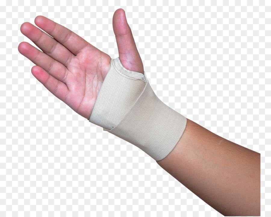 Daumen-Handgelenk-Hand-Modell-Handschuh - Erbsenbein Knochen