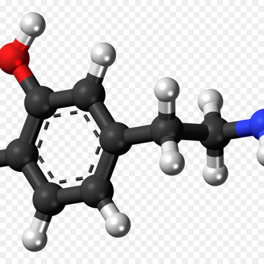 Composto chimico N-Methylphenethylamine Traccia amine Chimica Aromatica L-aminoacido decarbossilasi - altri