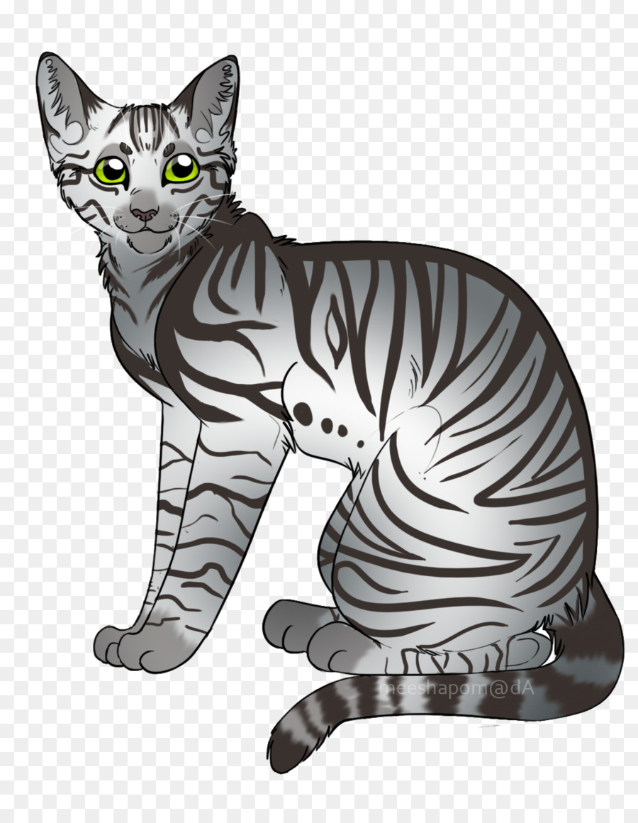 Con mèo hoang Mỹ tóc ngắn California spangled trong Nước ngắn mèo - con mèo