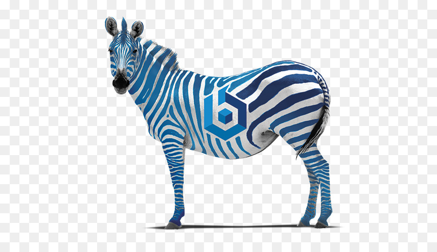 Quagga Zebra Pferd Bild Rahmen Malerei - Zebra