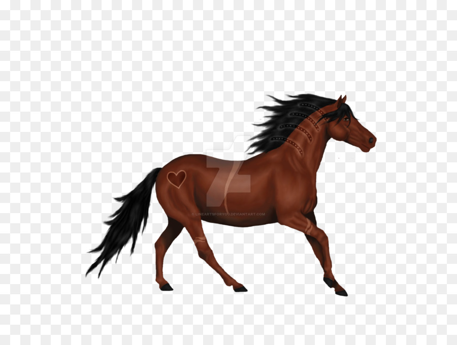 Cavallo Stallone Mane Sfogo Pony - cavallo