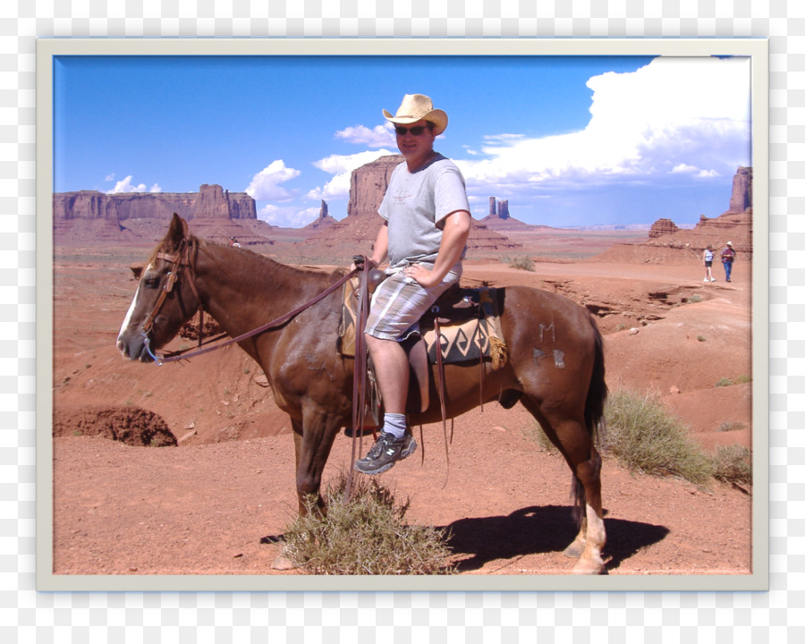 Mare Mustang Sfogo Stallone da monta Western - sella del cavallo