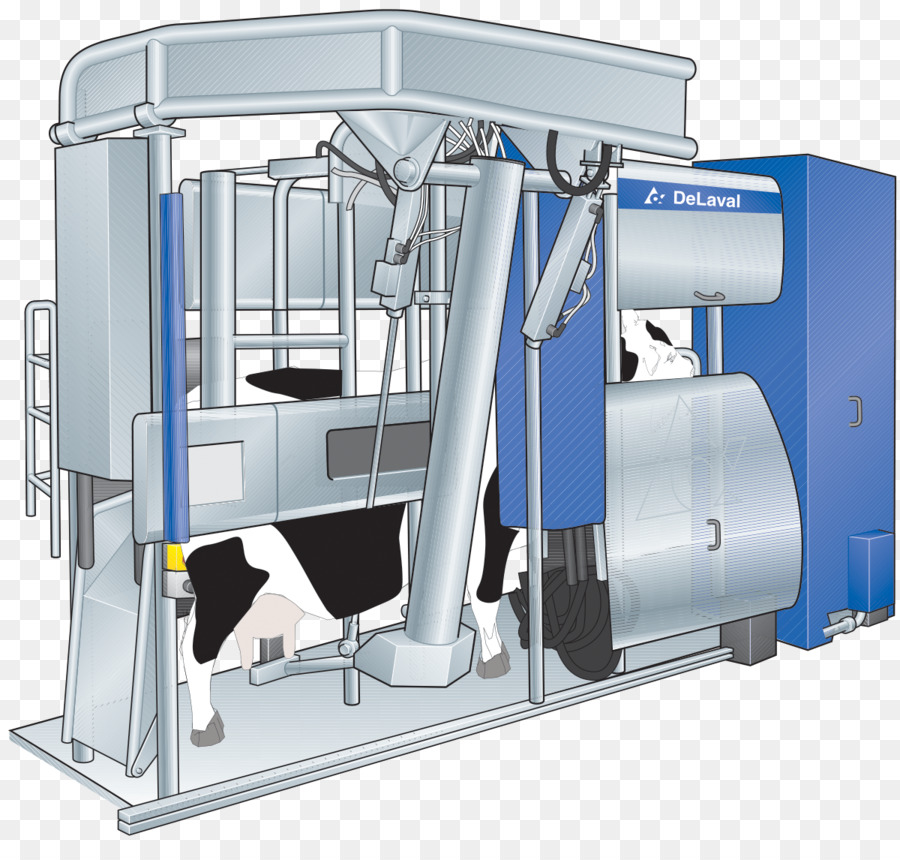 Automatische Melkmaschine Rinder - Milch