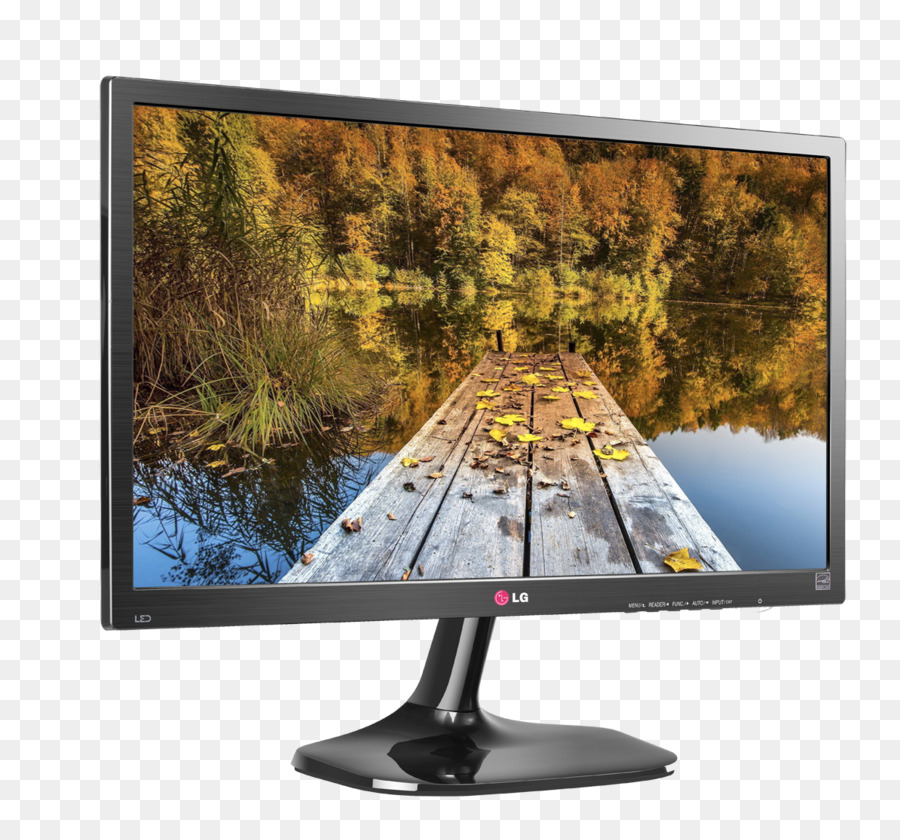 Computer Monitore IPS panel 1080p Digital Visual Interface LG Corp - andere