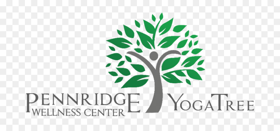 Yoga Baum Pennridge Wellness Center 0 Gesundheit, Fitness und Wellness - cannadaddy wellness center Apotheke