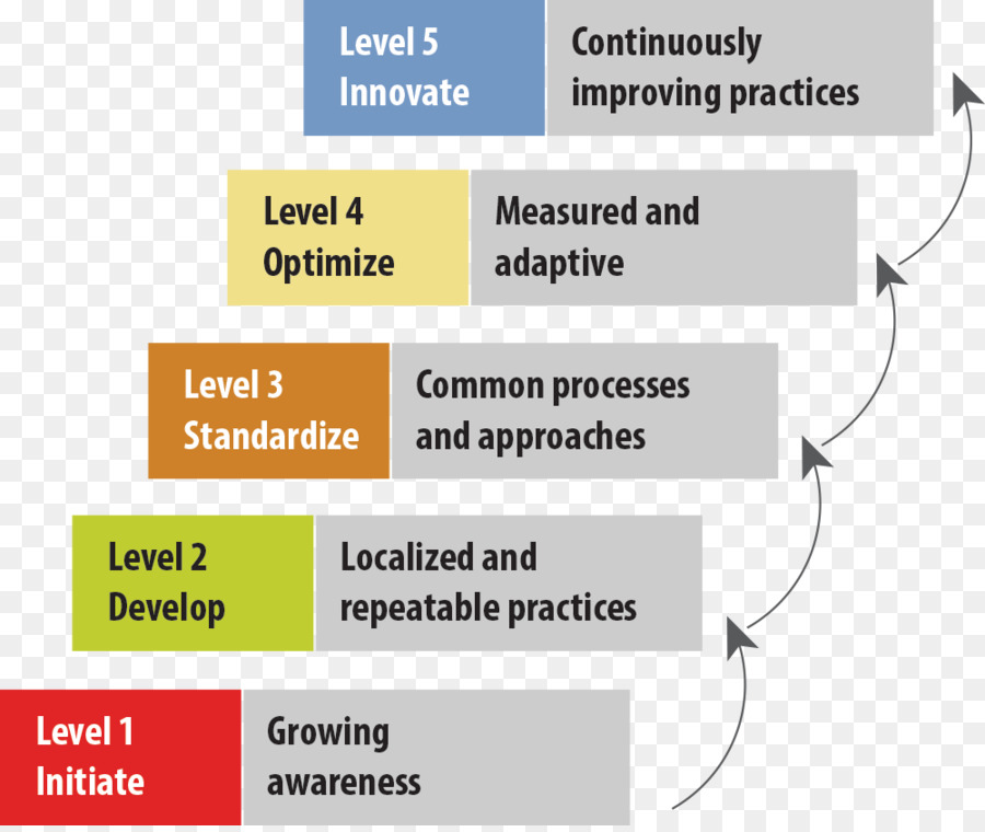 Knowledge management Organizzazione Capability Maturity Model - attività commerciale