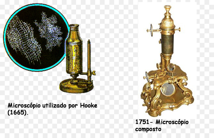 Optisches Mikroskop Cell Science Erfindung - Mikroskop