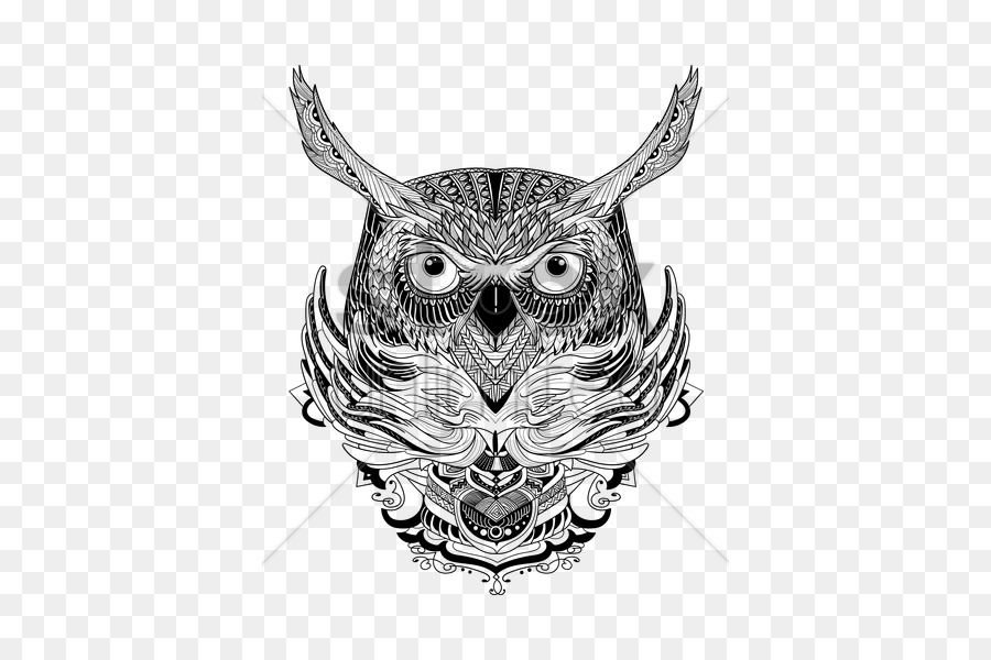 Owl Visual arts Schnabel Skizze - komplizierten design