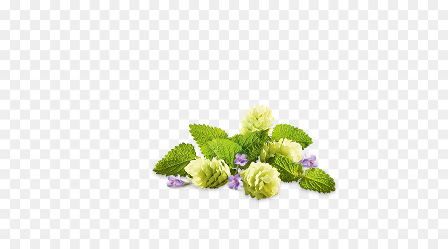 Disegno floreale di fiori recisi di piante Erbacee Ortensia - Decorazione
