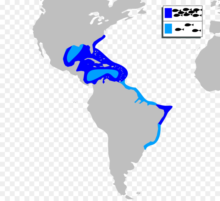 Vereinigten Staaten spanischen Kolonisation Amerikas lateinamerikanischen Befreiungskriege Südamerika - Vereinigte Staaten