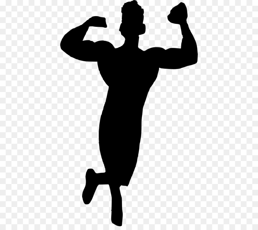 Bodybuilding fitness Fisico Muscolare a Tendina esercizio - bodybuilding