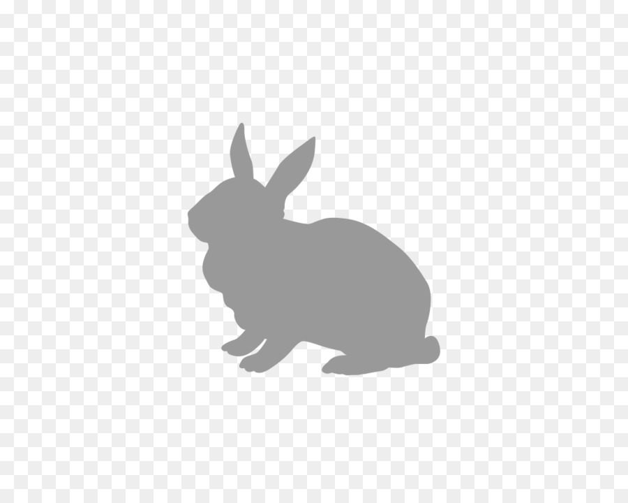 Coniglio Lepre Lionhead coniglio Coniglietto di Pasqua - coniglio