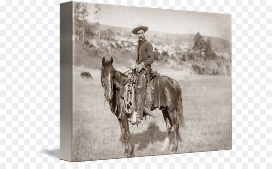 Chaps Cowboy frontiera Americana, Stati Uniti, Leggings - stati uniti