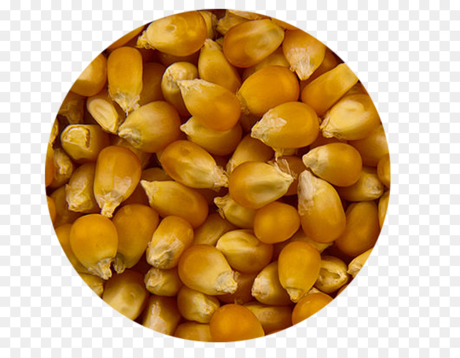Mais, Popcorn, Grieß Lebensmittel Ernte - Popcorn